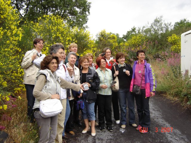 dsc01294.jpg