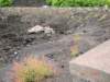 dsc01297_small.jpg