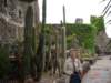 dsc01313_small.jpg