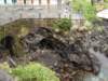 dsc01320_small.jpg