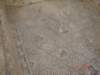 dsc01337_small.jpg