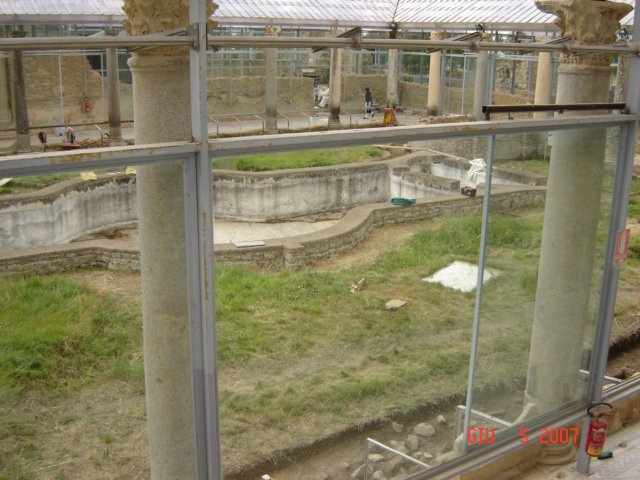 dsc01338.jpg