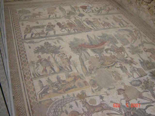 dsc01339.jpg