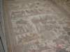 dsc01339_small.jpg