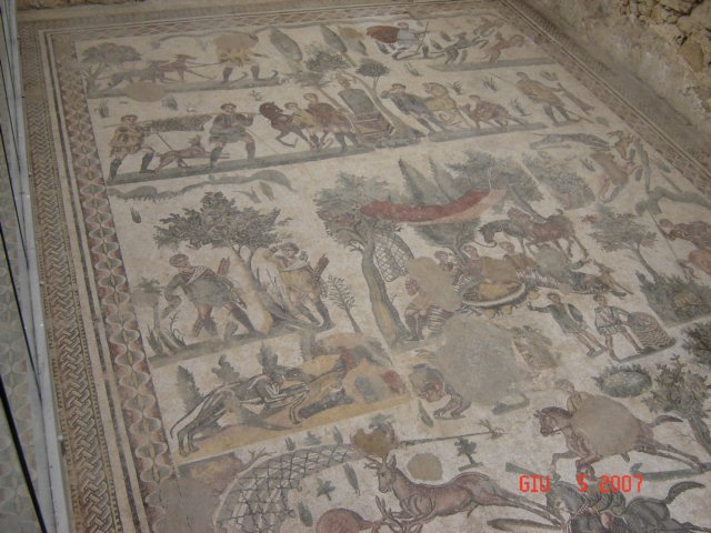 dsc01339a.jpg