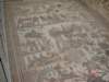dsc01339a_small.jpg