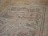 dsc01340_small.jpg