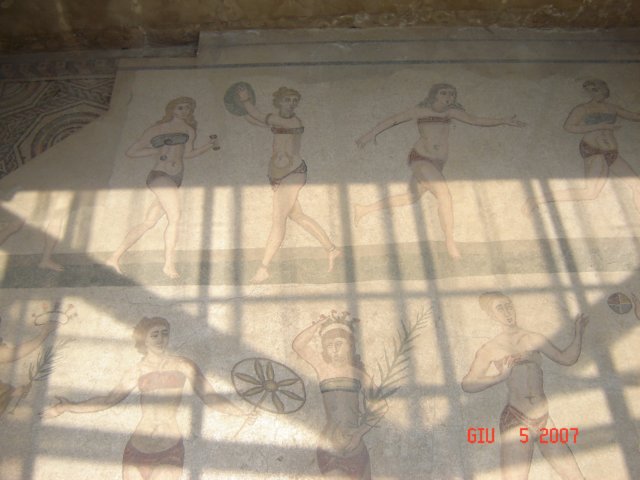 dsc01341.jpg