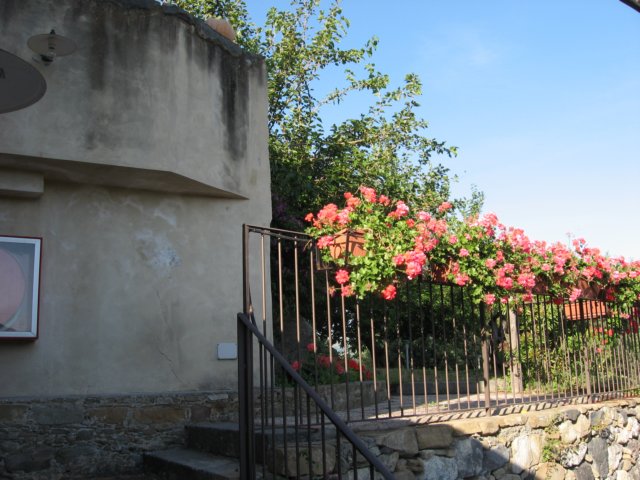 img_2453.jpg